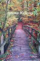 Autumn walkway